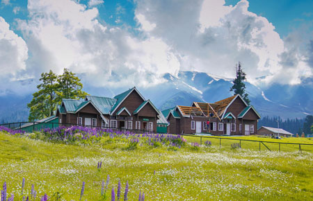 Kashmir packages